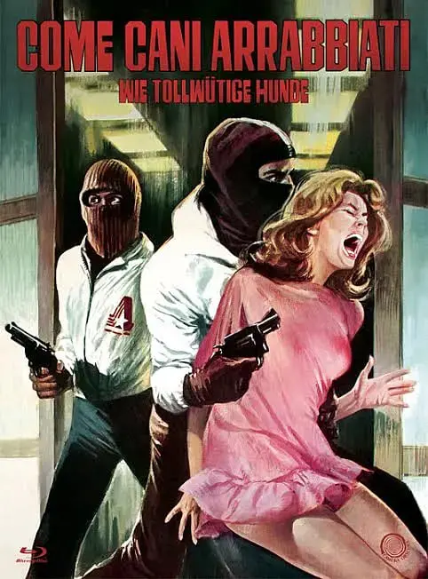 《像疯狗一样》：校园阴影下的野兽觉醒，热血复仇只为撕碎虚伪！